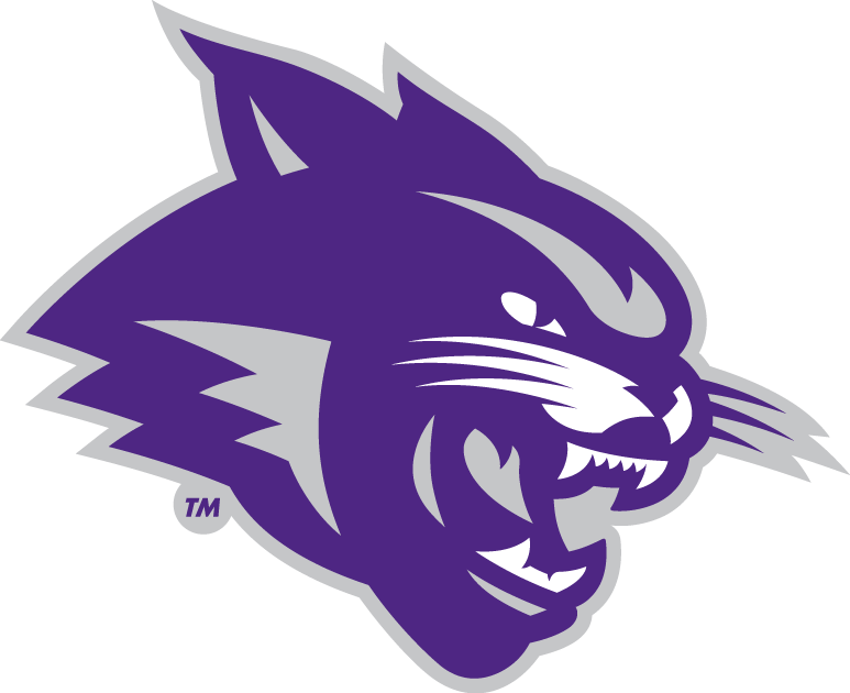 Abilene Christian Wildcats 2013-Pres Partial Logo DIY iron on transfer (heat transfer)